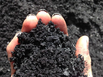 1 Litre Organic Biochar